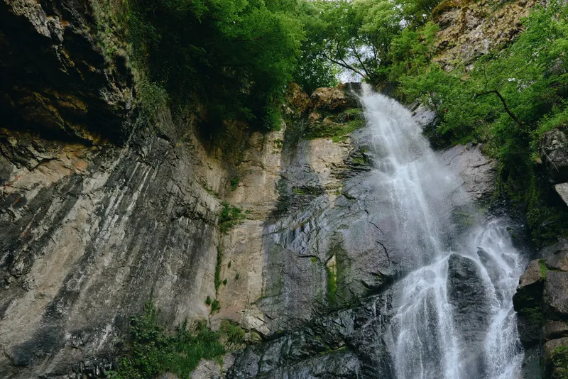 Waterfall cascading down rocky cliffs surrounded by lush green vegetation under bright daylight in a natural forest setting.