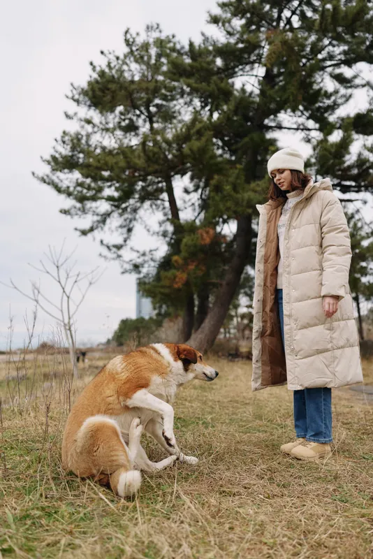 Woman in a long winter coat and beanie outdoors plays with a dog in a grassy field, with trees in the background for a warm, candid moment of outdoor companionship and activity