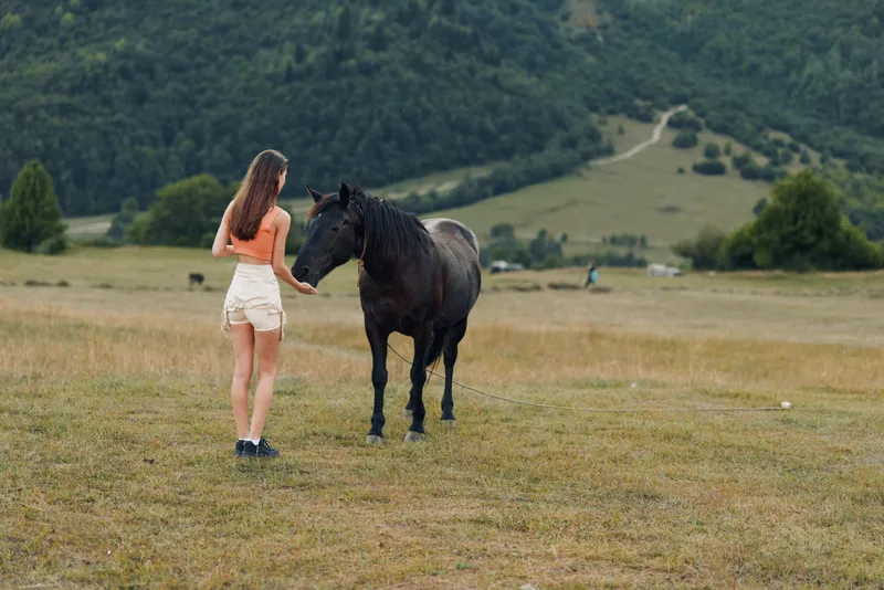 A young woman stands in a grassy meadow, facing a black horse. She wears light summer outfits and boots, with distant hills and trees in a peaceful rural setting.