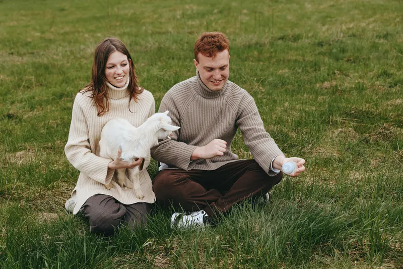 Cheerful couple outdoors, relaxed with a goat kid on lush grass, wearing sweaters, sharing laughter, natural colors, sunlit moment, casual lifestyle, warm affection, peaceful nature backdrop