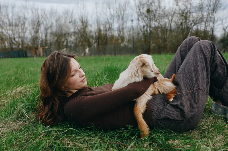 goat, kid, animal, woman, outdoors, lifestyle, relaxation, field, nature, companionship A peaceful scene shows a woman lying on grass, cradling a curious kid against a sunny rural backdrop,