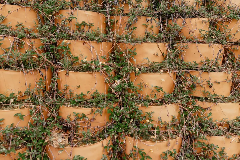 Vibrant wall of terracotta pots filled with green plants, showcasing a lush, natural aesthetic perfect for gardening and nature themed designs