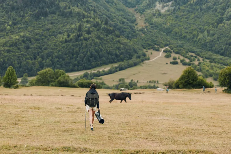 A lone traveler walks across a grassy meadow with a dog nearby, carrying a backpack as distant rolling hills rise under a bright sky, creating a peaceful outdoor scene.