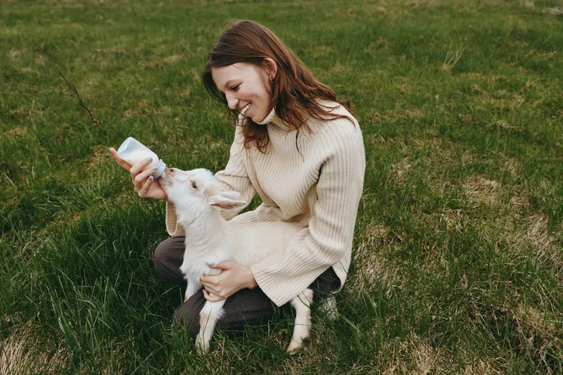 Young woman in a beige sweater feeds a baby goat with a bottle while sitting on green grass in a natural outdoor setting with a calm and caring mood.