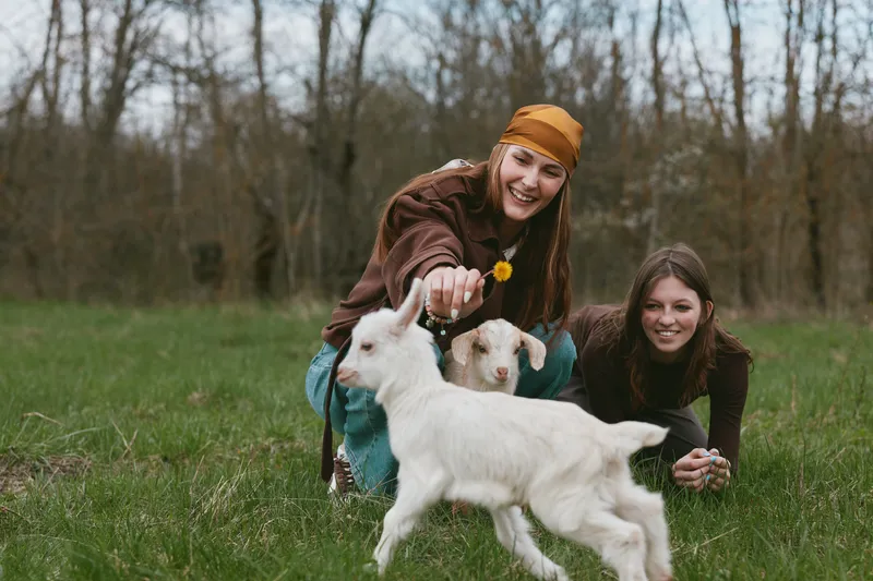 Two youth friends play with a white goat kid in a grassy meadow, laughing as the goat bounds toward them in a bright outdoor field, capturing a lifestyle moment of playful interaction and animal