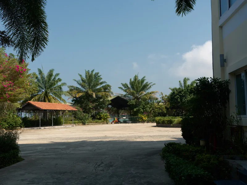 Quiet outdoor scene with tropical palm trees, clear blue sky, and shaded walkway near a building, creating a peaceful and sunny atmosphere in a warm climate.