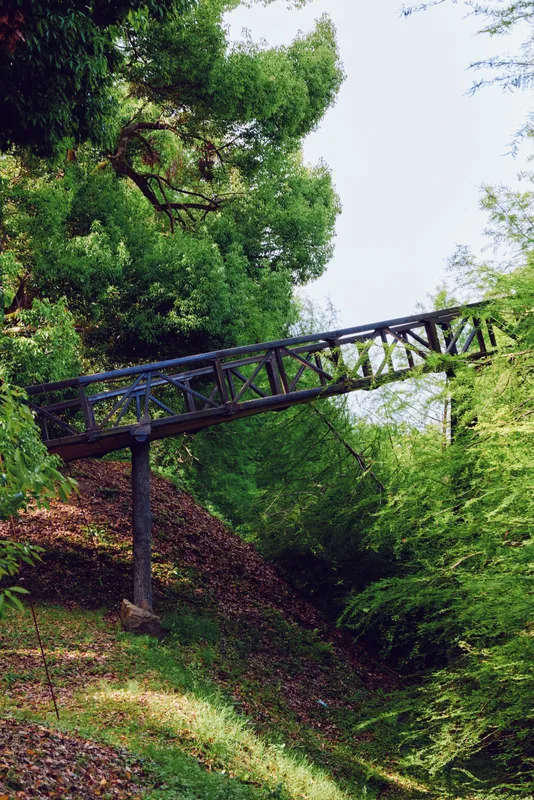 Bridge footbridge forest trees greenery ravine metal walkway: a narrow metal truss bridge crosses a steep wooded hillside, leafy canopy above, dappled sunlight on mossy slope and trail.