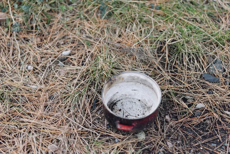 Cup burnt on the ground among pine needles outdoors, showing char and ash remnants. Closeup of a neglected vessel amid natural debris and muted earthy tones.