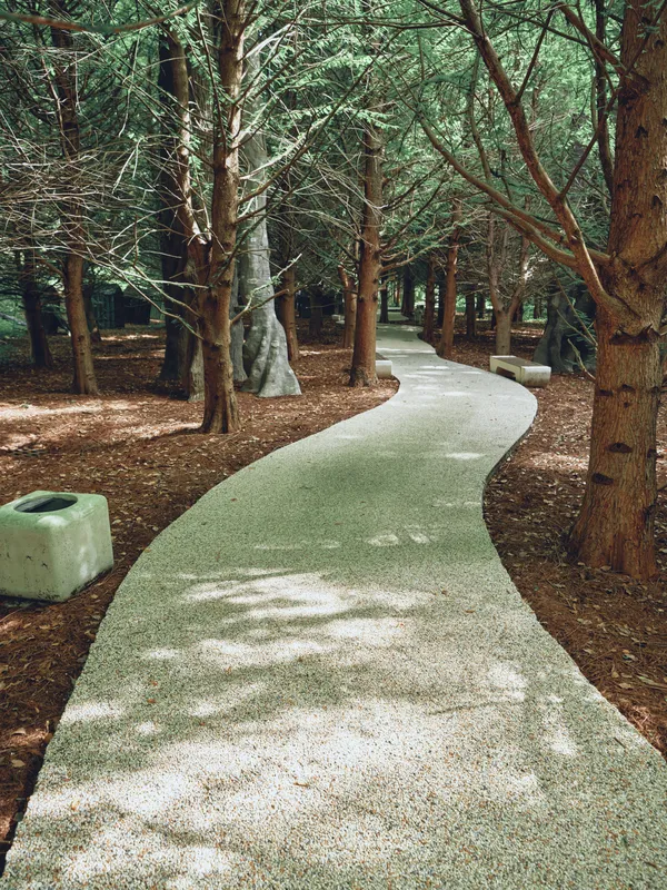 pathway forest trees trail walkway nature park evergreen winding gravel path through shaded woods with dappled sunlight, benches and serene atmosphere for walking and relaxation
