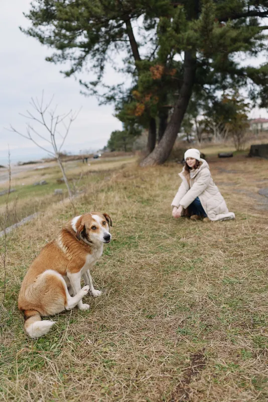 Dog and woman outdoors by a grassy coastal park, autumn scene with trees and a calm sea in the background, a friendly dog beside a kneeling woman