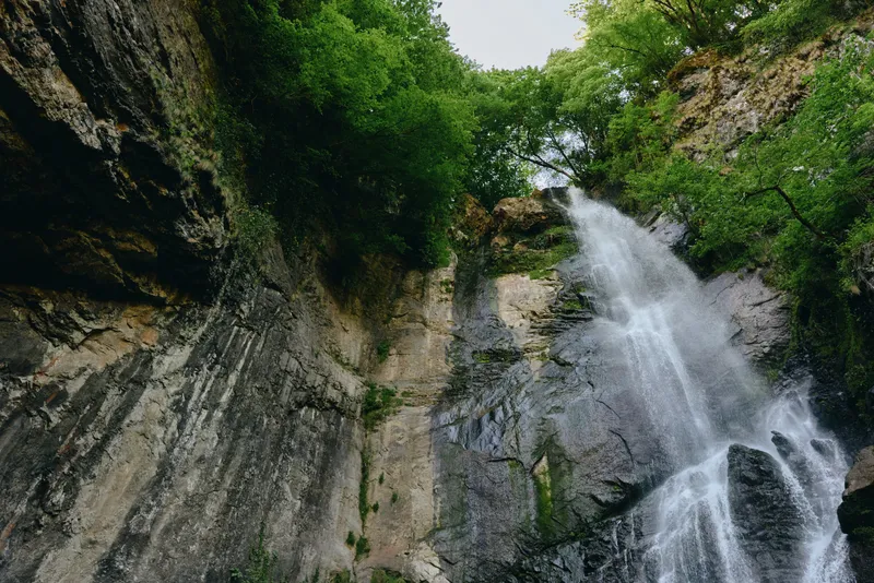 Waterfall cascading over rocky cliff surrounded by lush green trees, creating a serene natural landscape with vibrant foliage and flowing water.