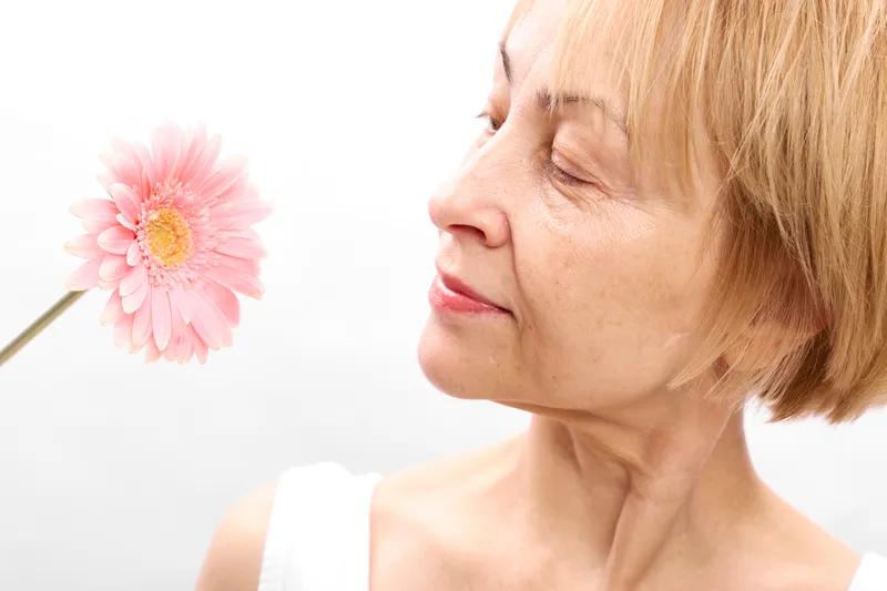 Woman elderly portrait flower pink profile smile gentle white closeup, close view of mature lady holding pink gerbera, serene on white studio background