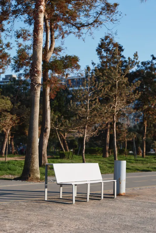 Empty white bench on a sunny park path framed by tall trees, inviting calm reflection and minimal outdoor scenery with natural light.