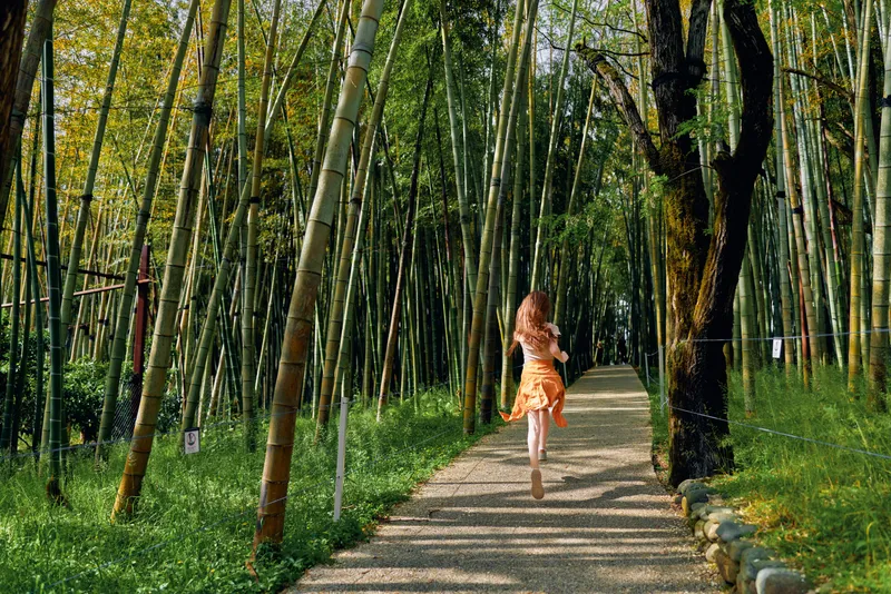 Woman in orange dress running along a gravel path through a dense bamboo forest, trees lining a sunlit trail, motion and freedom in a peaceful natural walkway.