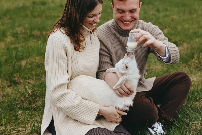 Outdoor lifestyle scene with a smiling couple feeding a goat kid in a grassy field, showcasing care, connection, and happiness. Natural light creates a warm, peaceful mood in a rural setting.