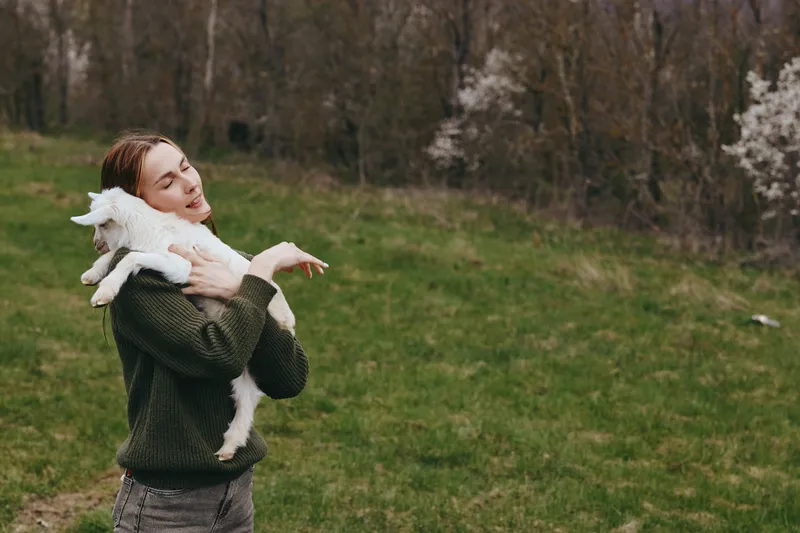 A young woman in a green sweater holds a white baby goat on her shoulder while standing on a grassy field during early spring outdoors.