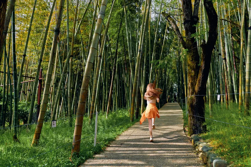 Girl running along a bamboo path in a sunlit forest wearing a yellow dress, summer nature scene with motion and carefree joy captured on a gravel walkway.