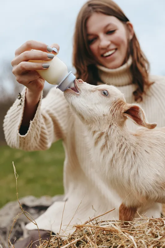 Outdoor scene of a woman feeding a curious goat kid, warm sweater, sunlit moment, gentle interaction, rustic farm setting, soft grass and hay, natural colors, candid and wholesome