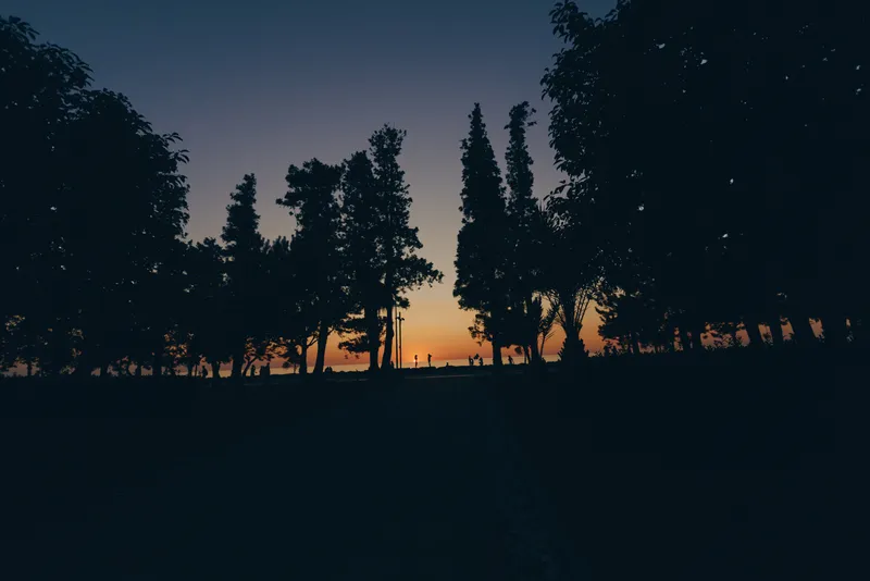 Sunset landscape with tall trees silhouetted against a vibrant evening sky, creating a peaceful and dramatic natural scene with deep blue and orange colors.