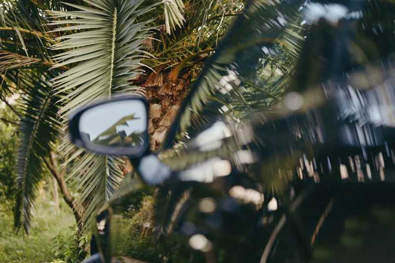 Motorcycle mirror reflects palm fronds in a tropical outdoor closeup scene, vintage black motorcycle parked beneath sunlit leaves, reflection detail evokes travel lifestyle and nature mood.
