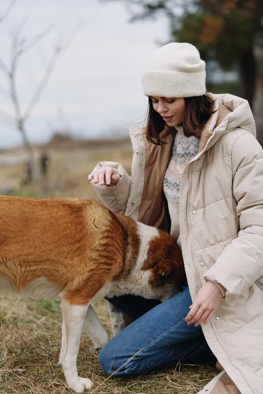 Woman in a warm coat crouches beside a dog in an open field, sharing a gentle outdoor moment on a crisp winter day