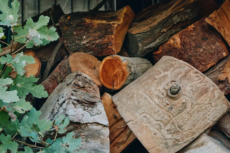 Firewood, logs, woodpile, split logs, oak leaves, stacked wood in a rustic outdoor shelter. Closeup of chopped timber with detailed bark, wood grain and seasonal dry fuel ready for fireplace use.