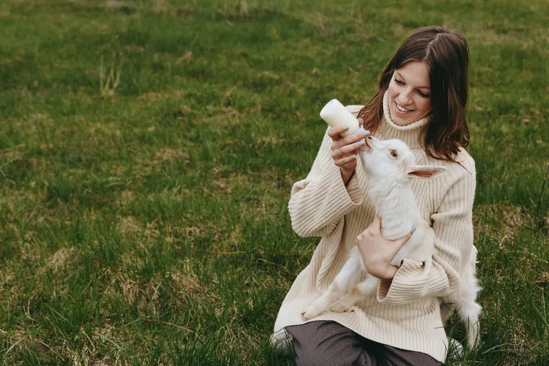 A woman in a cozy knitted sweater feeds a white baby goat with a bottle in a countryside field, capturing a warm lifestyle moment and gentle animal bonding.