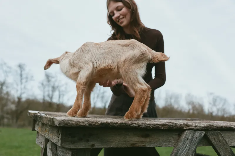 Smiling woman with a goat kid on a rustic wooden table outdoors, sharing a gentle moment and connection in natural light. A candid lifestyle scene that highlights care, companionship, and harmony