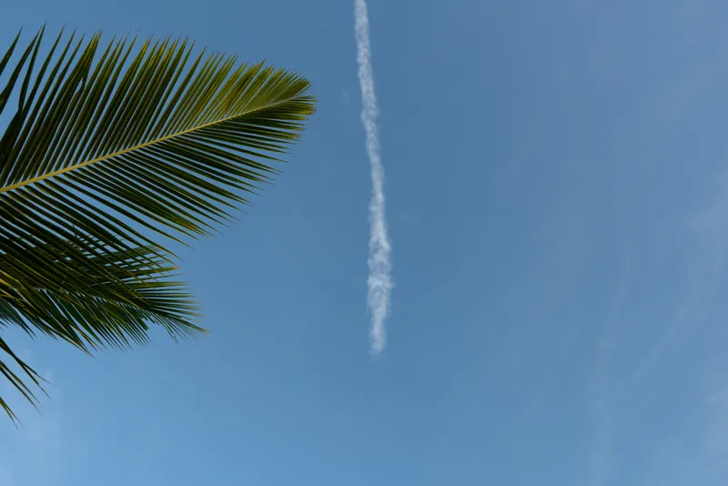 Bright outdoor scene with blue sky, palm frond in the corner, white contrail, creating a calm tropical mood, and a relaxed vacation vibe, ideal for lifestyle and travel storytelling.