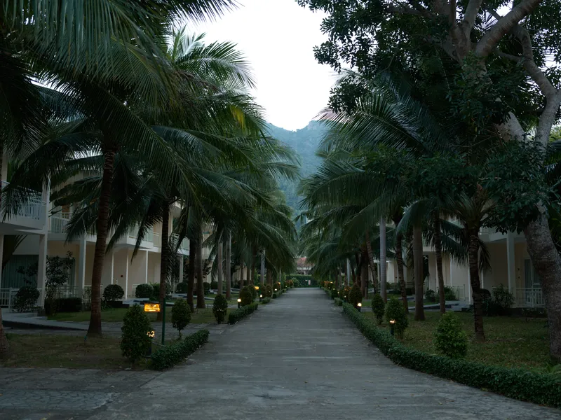 Tropical palm tree alley in the courtyard of a resort with evening lighting and mountain background under a blue sky.