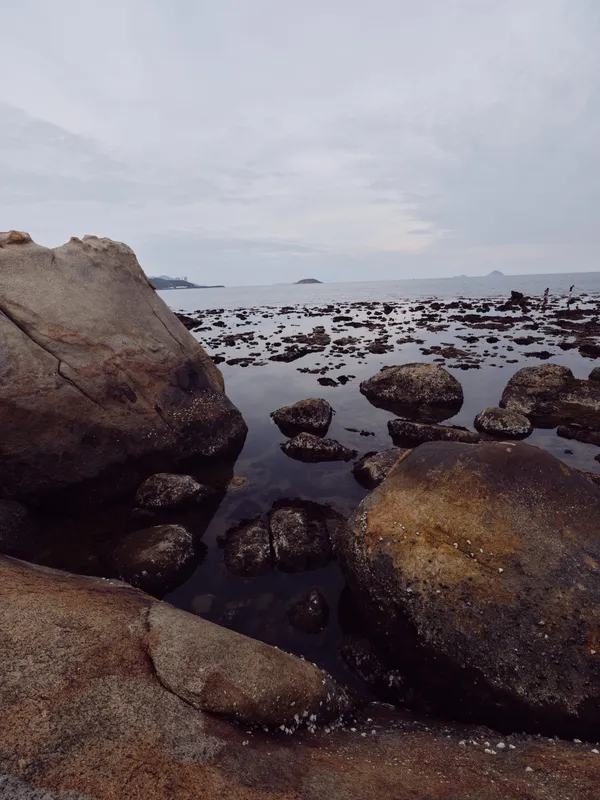 Calm and serene coastal landscape with rocky shoreline, tranquil water reflections, and a soft gray sky Nature s beauty in seasonal tranquility