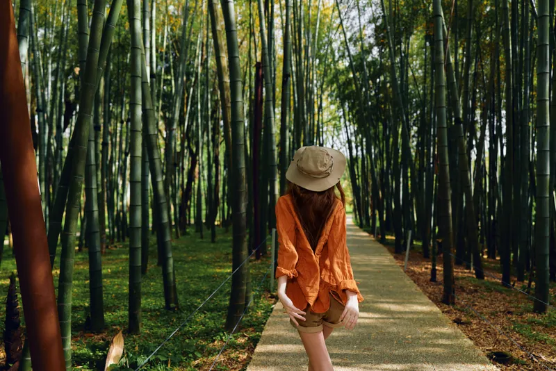 Woman in hat walking on a path through a dense bamboo forest, wearing orange sweater and shorts, casual style and backview capturing serene green trees, sunlight and peaceful stroll.