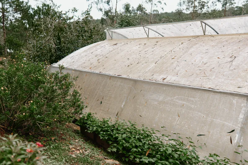 Modern greenhouse surrounded by lush greenery, showcasing sustainable agriculture and nature s beauty in vibrant colors