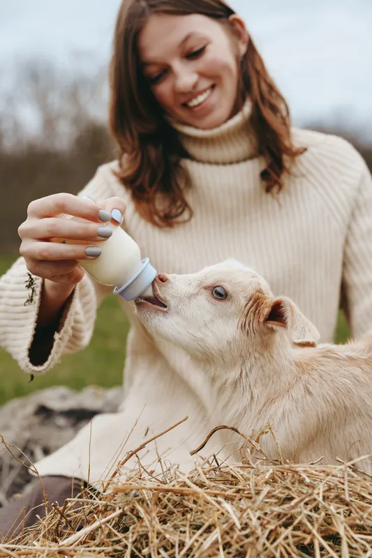 Casual outdoor scene of a woman in a sweater bottle feeding a goat kid, capturing a warm rural lifestyle moment and the bond between caregiver and young animal during feeding.
