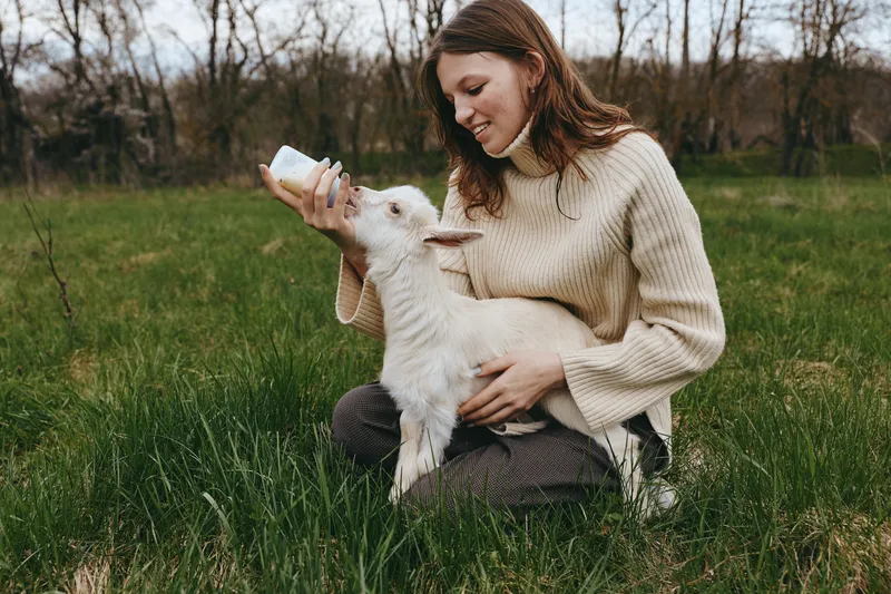Cheerful woman outdoors, feeding a friendly goat kid, warm sweater, soft grass, sunlit moment, relaxed posture, gentle interaction, natural colors, rural landscape