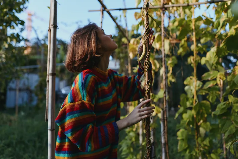 Woman in a colorful striped sweater in a backyard garden, touching a vine and looking up with a curious expression, brunette with bob haircut, casual lifestyle and slow living scene.