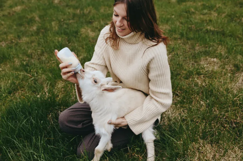 A young woman in a beige sweater feeds a white baby goat with a bottle while sitting on green grass, capturing a warm and natural lifestyle moment outdoors with animals.