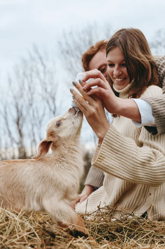 A young woman feeds a baby goat with a bottle while sitting outdoors on dry grass, sharing a joyful moment in a casual knit sweater during a lifestyle farm visit.