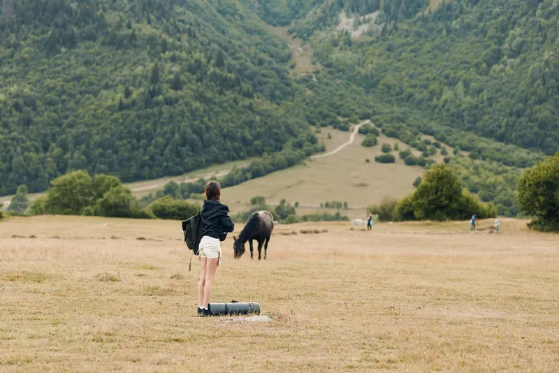 A lone traveler stands in a wide grassy field near a horse, with gear nearby, under a calm sky. The scene conveys freedom, quiet exploration, and rural serenity.