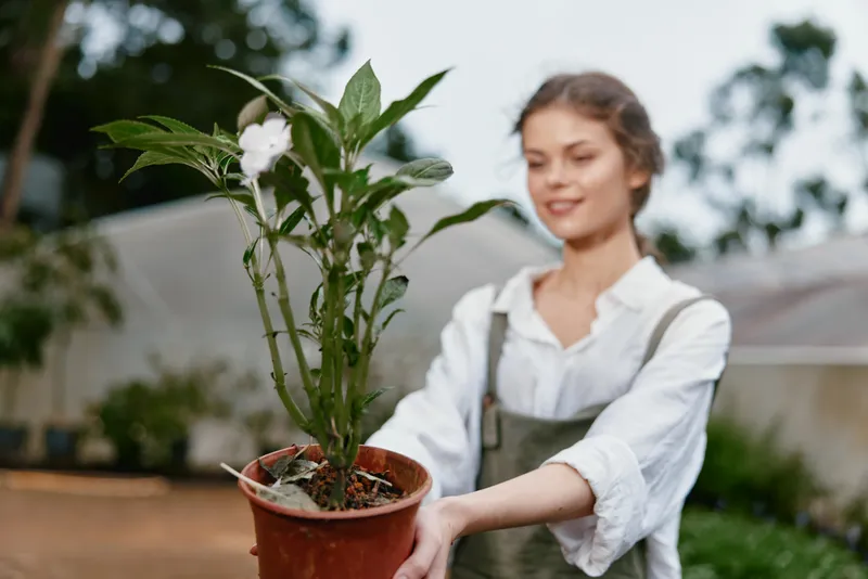 Young woman in casual attire joyfully holding a potted plant, representing gardening, nature, and sustainable living during a sunny day outdoors