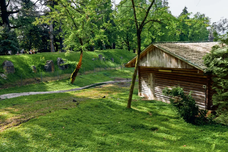 Cabin shed grass trees pathway rustic sunlight nature in a peaceful park scene with wooden building, green lawn, walking trail and shaded foliage for countryside relaxation.
