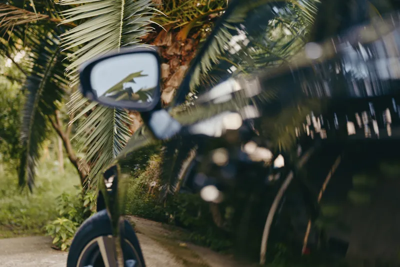 Car side mirror, palm tree and reflection on a black car parked on a tropical outdoor driveway, wheel visible, glossy paint and warm late afternoon sunlight create travel mood.