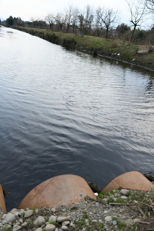 Calm river, shoreline water, rocky bank with rocks, smooth stones, leafless trees, natural landscape outdoors, gentle ripples, tranquil winter atmosphere, serene solitude, soft overcast light