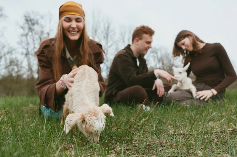Three friends enjoy a sunny day in the field with goat, goats, kid, field, outdoor, friends, people, playful, meadow, laughter as trees sway and kids explore grass, creating a warm lifestyle moment