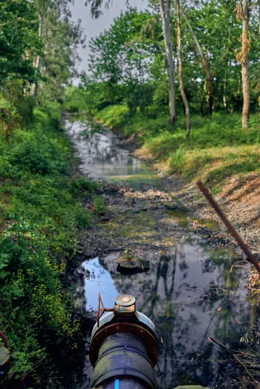 Stream creek with rusty pipe and drainage outlet overlooking muddy water and dense trees, nature scene with overgrown banks, reflection in stagnant water and damp vegetation.