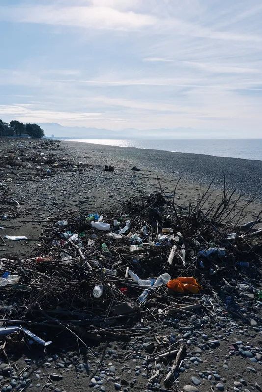 Polluted beach shoreline with scattered litter and debris along the coast under a clear sky, highlighting environmental pollution and impact on coastal ecosystems.