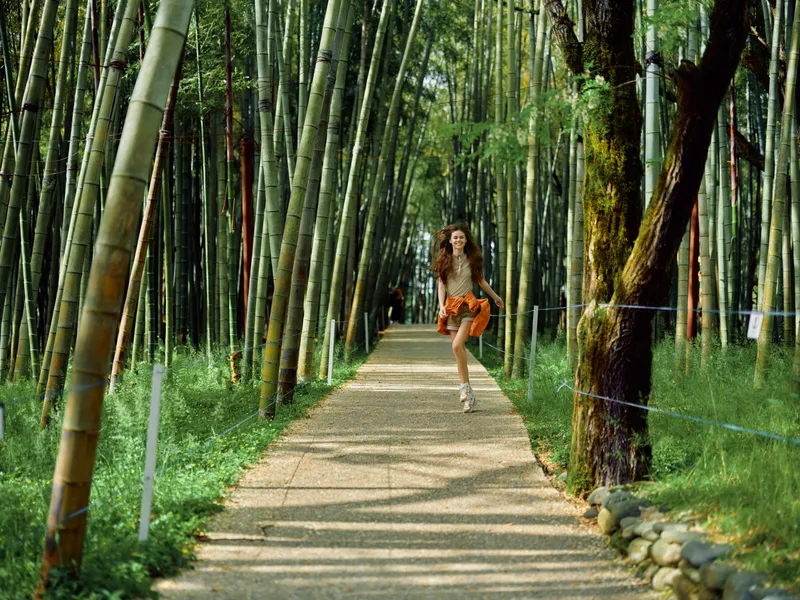 Woman runner jogging along a bamboo path in a forest, fitness activity outdoors with energetic motion, summer clothing and sneakers on a sunlit trail for healthy lifestyle and freedom.