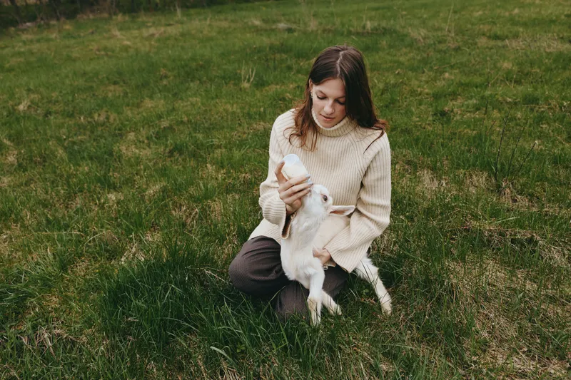 Goat, kid, woman, outdoors, grass, field, sweater, interaction, animal, nature, landscape, rural, countryside, domestic, living, lifestyle, serene, peaceful, bond, care, affection, gentle, playful,