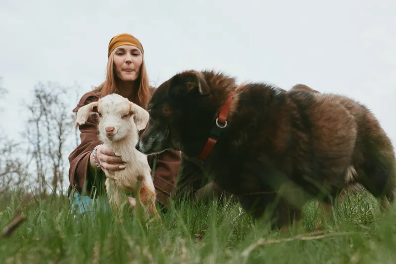 Young woman in casual clothes holds a white baby goat while a brown dog sniffs the animal in a grassy field under an overcast sky during a relaxed lifestyle moment.