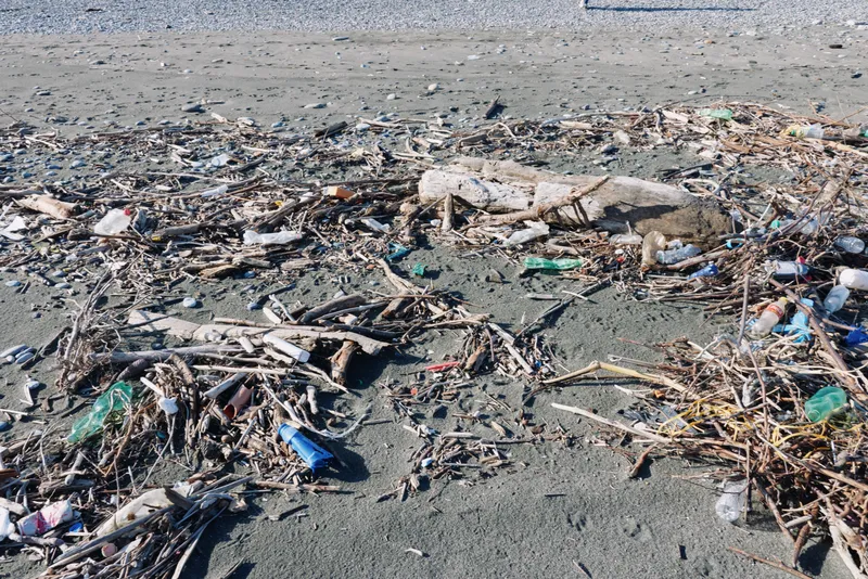 Beach scene filled with litter and debris along the shoreline plastic waste and bottles scattered among sand and rocks illustrating pollution and environmental impact on coastal areas